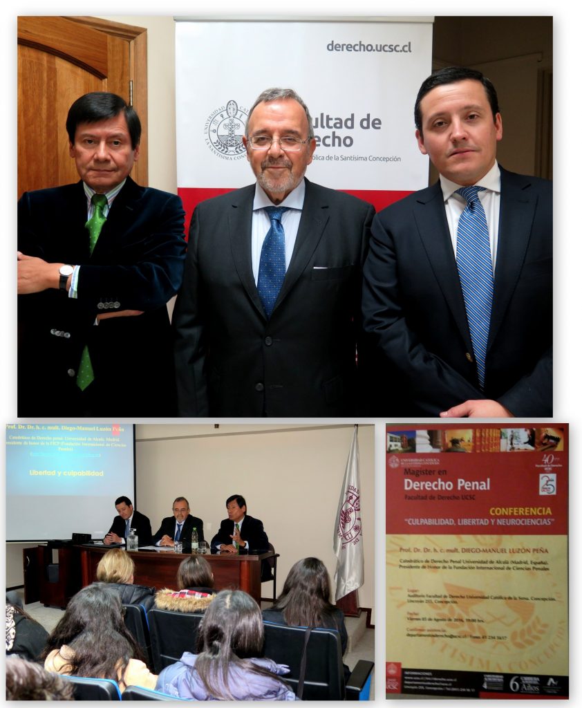 Collage concepción